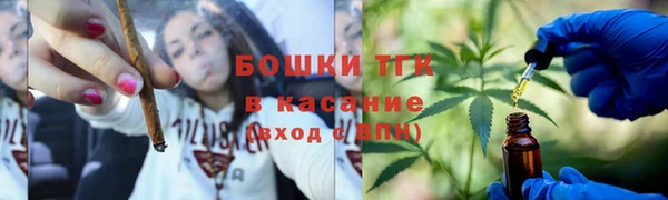 трава Надым