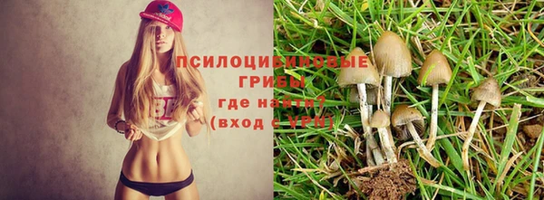 ПСИЛОЦИБИНОВЫЕ ГРИБЫ Алзамай